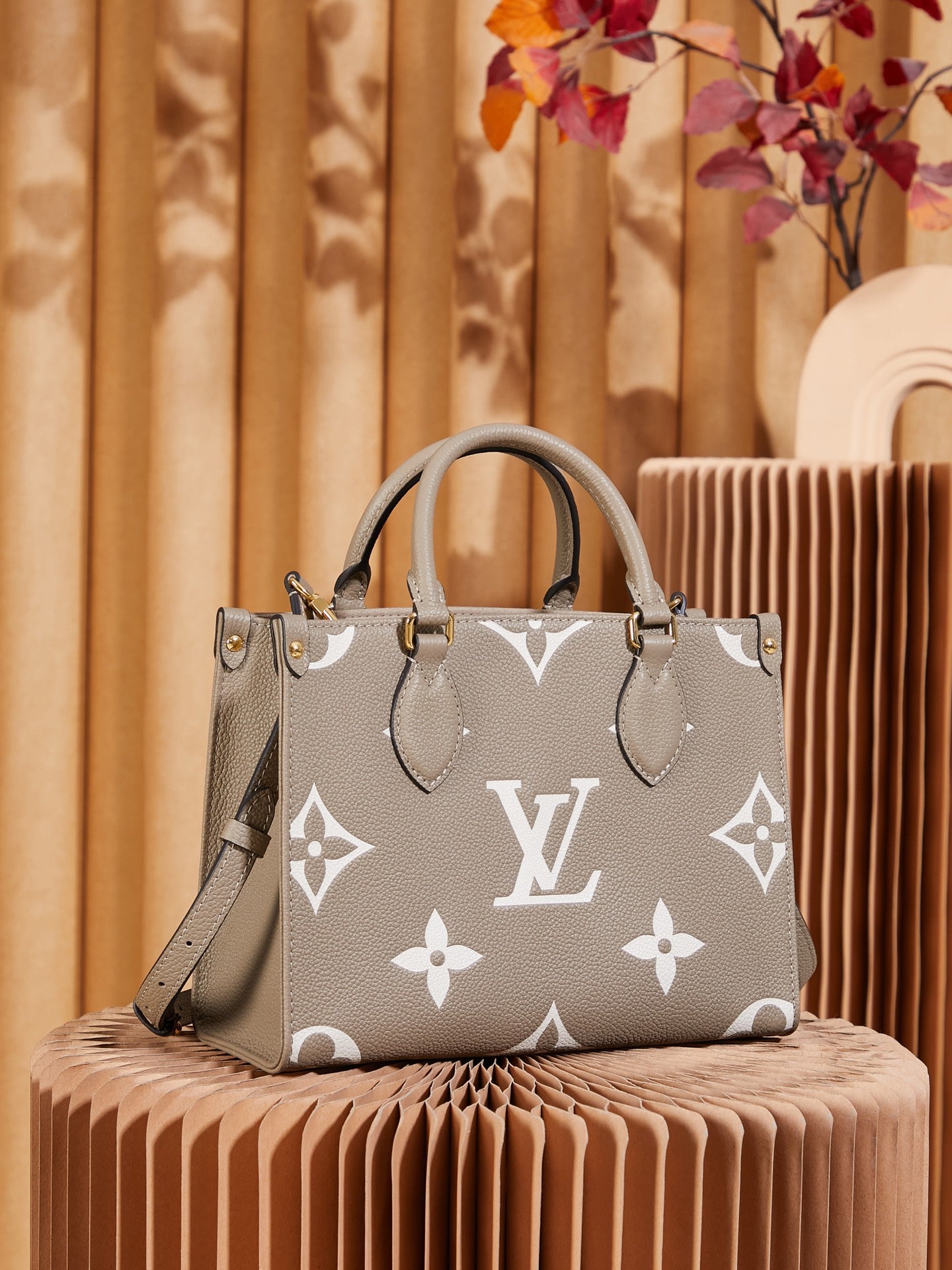 Structured Tote Bag PM M45779