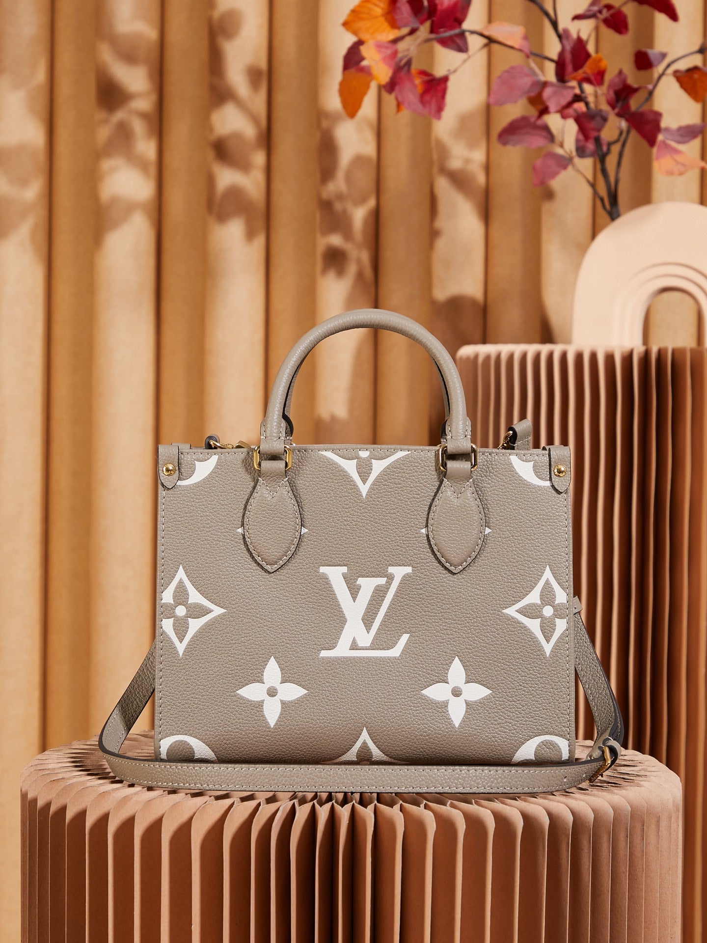 Structured Tote Bag PM M45779
