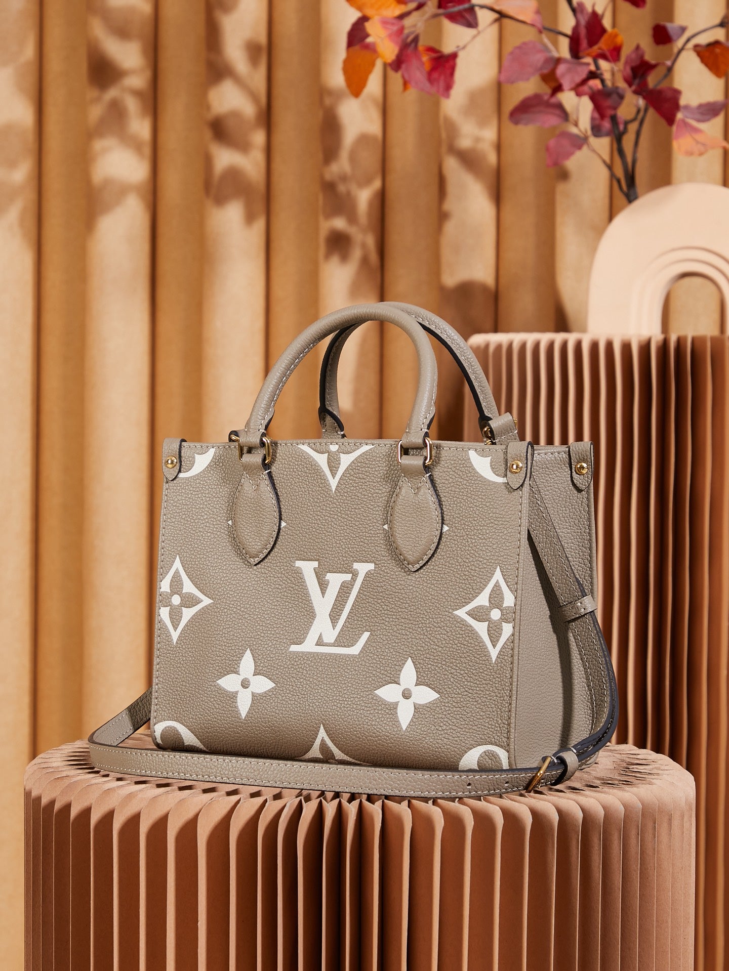 Structured Tote Bag PM M45779