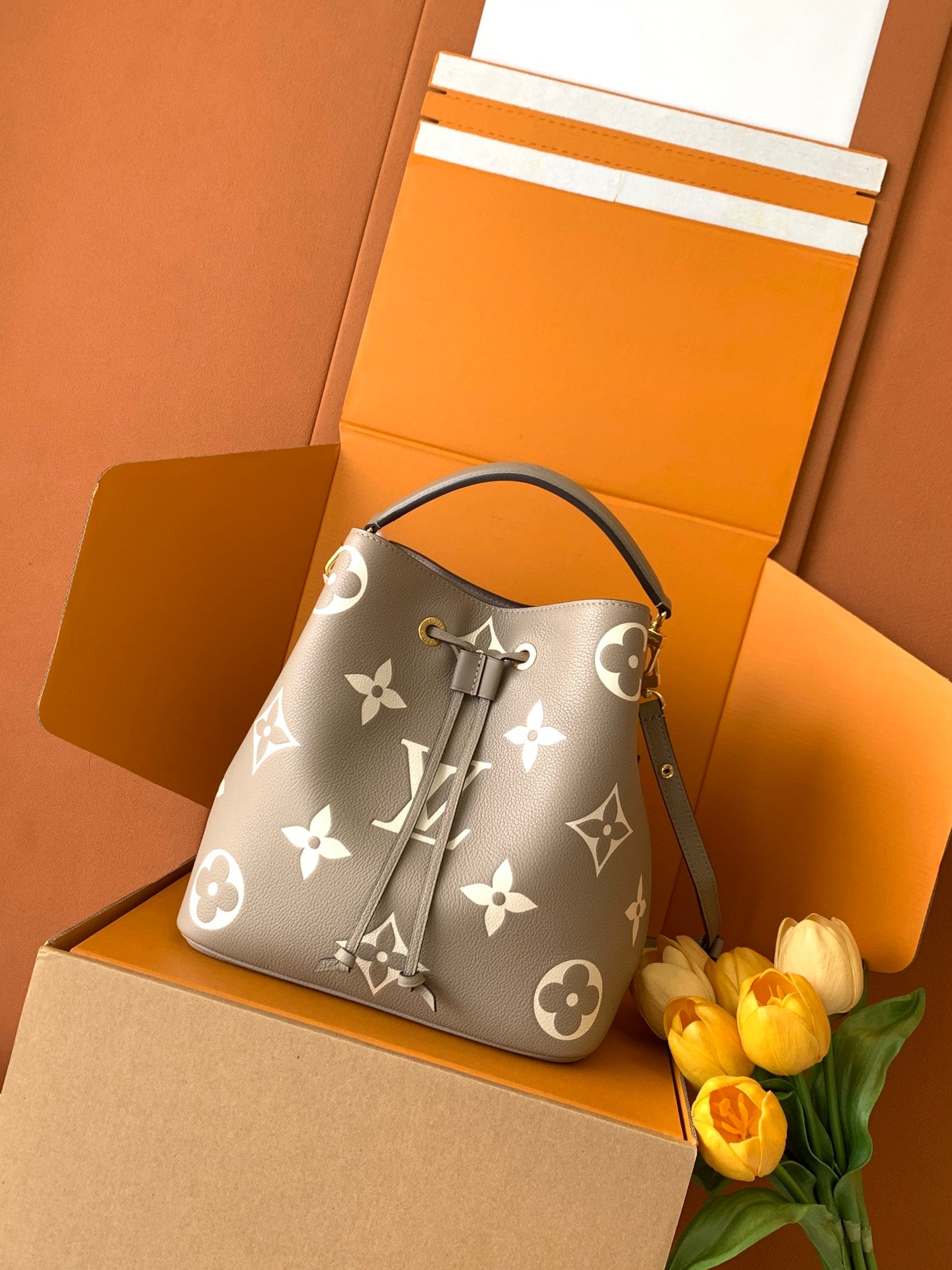 Bucket Bag MM M45555