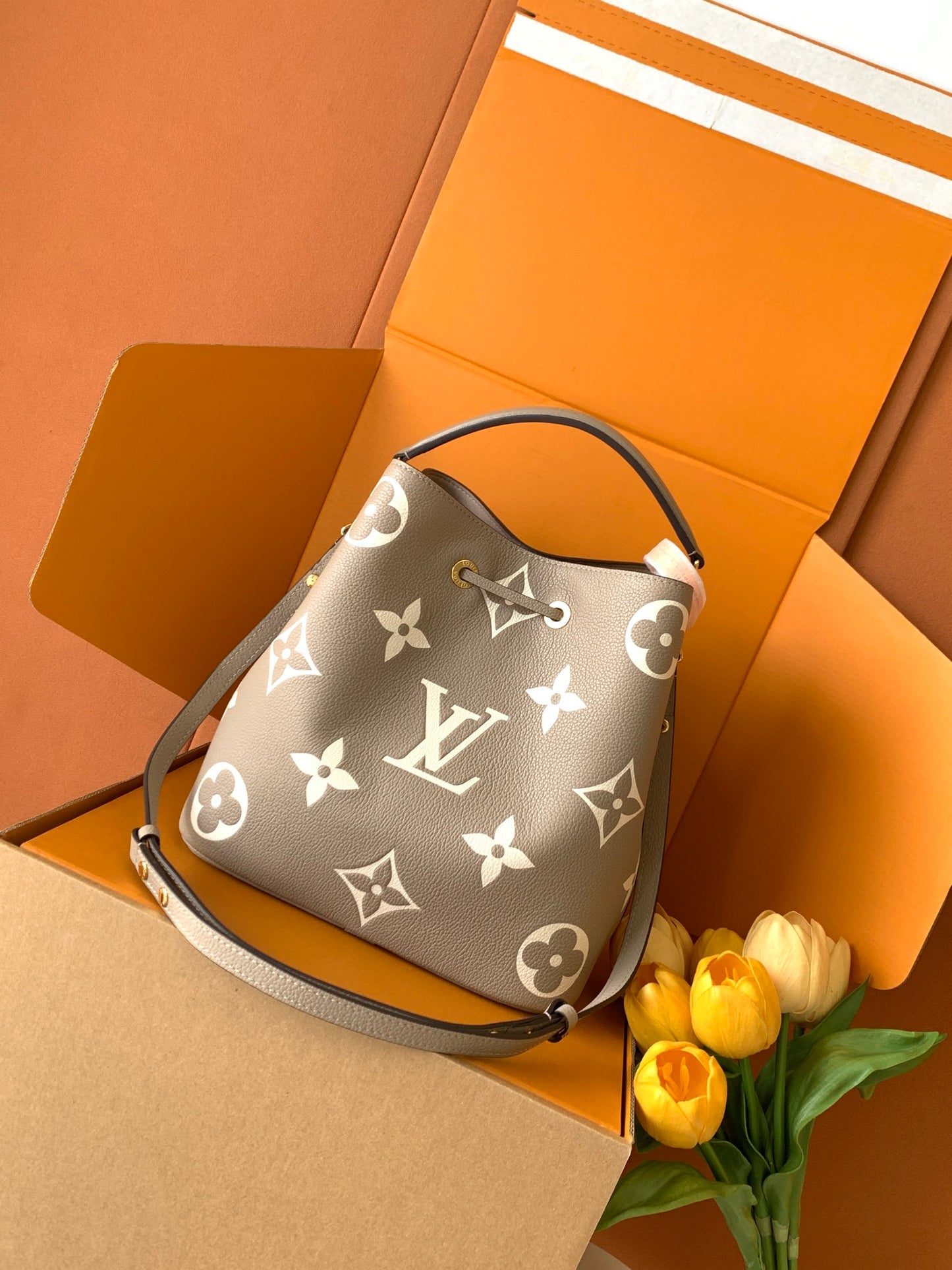 Bucket Bag MM M45555