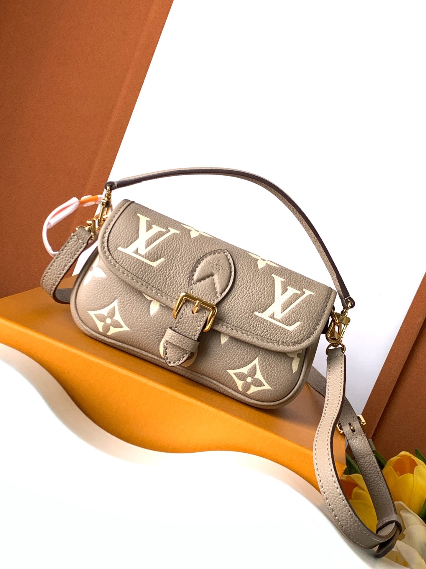 Classic Flap Shoulder Bag Nano M83300